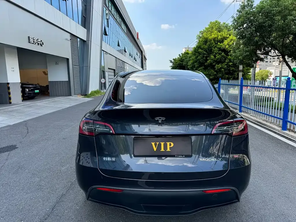Tesla Model Y — фото 8