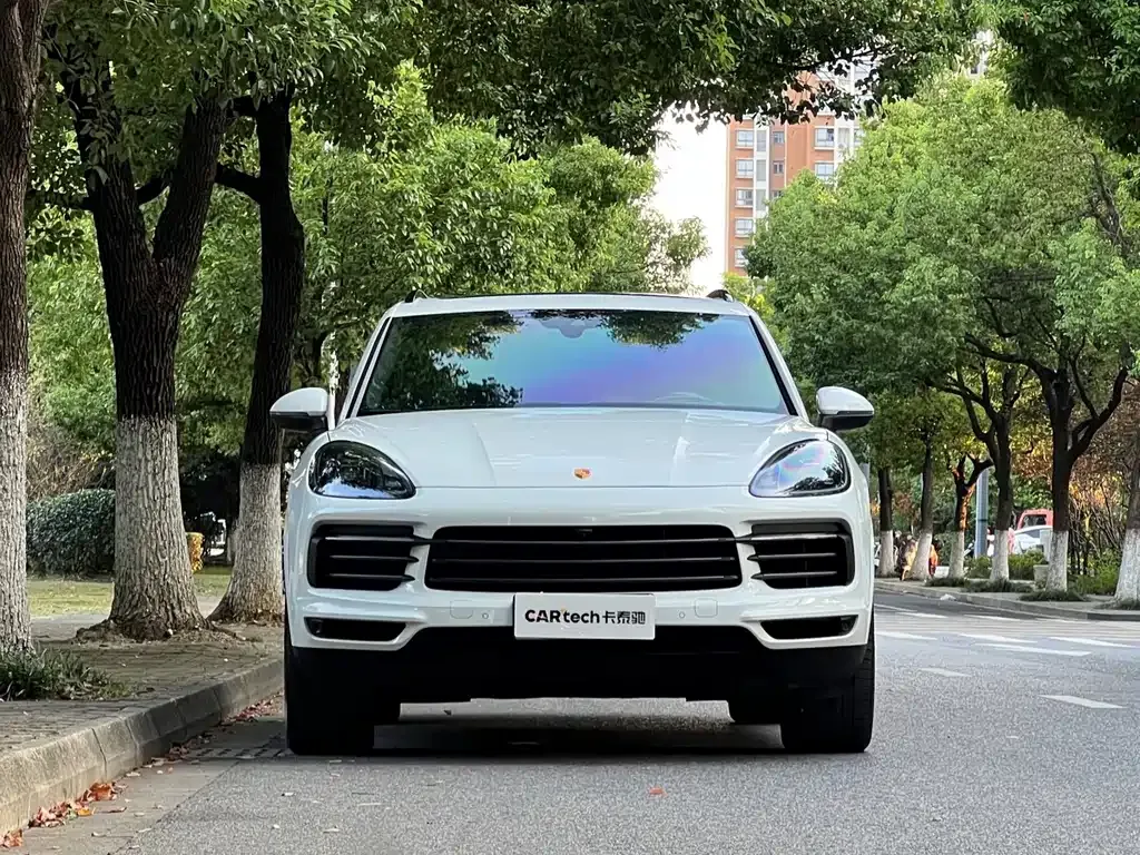 Porsche Cayenne — фото 10