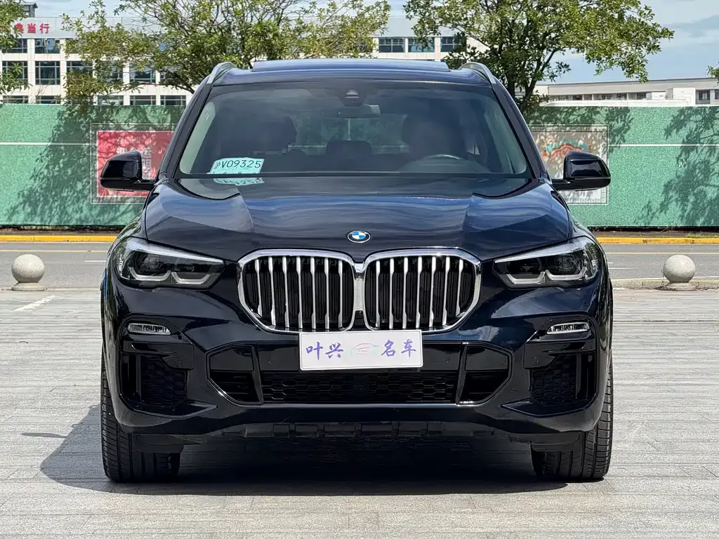 BMW X5 (Import) — фото 6