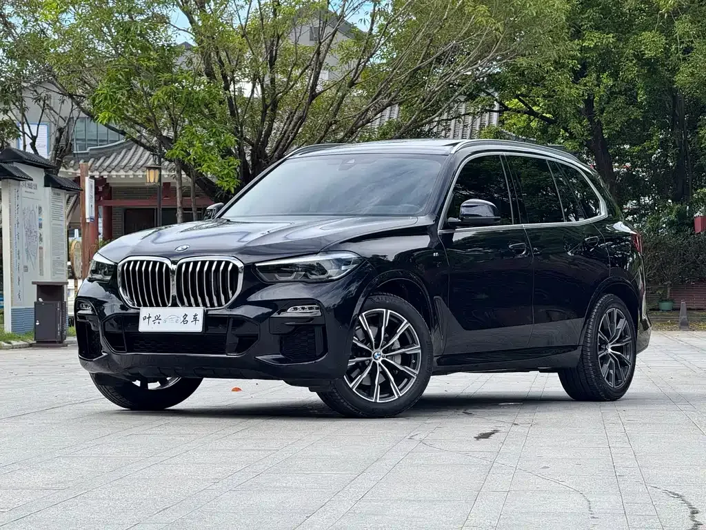 BMW X5 (Import) — фото 9