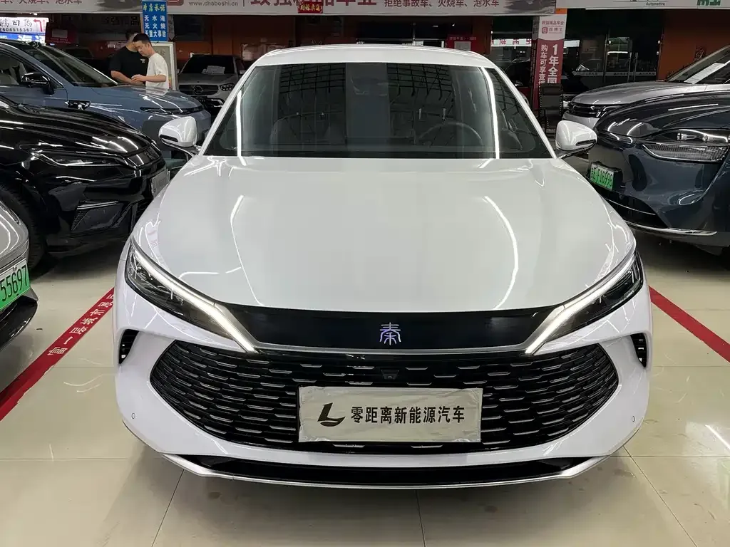 BYD Qin L — фото 6