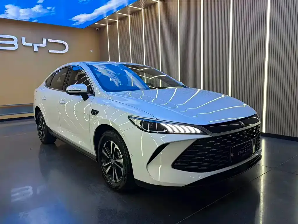 BYD Qin PLUS — фото 7