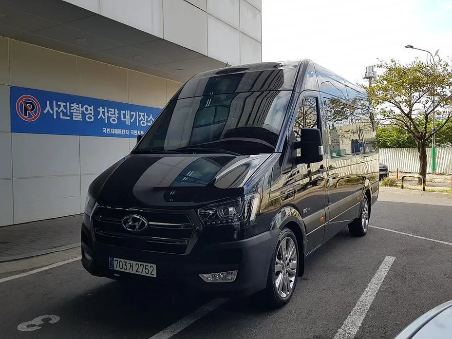 Hyundai Solati — фото 1