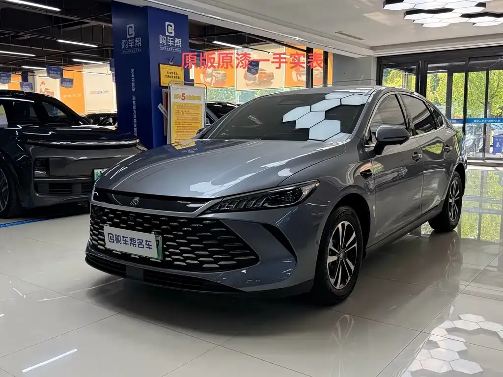 BYD Qin PLUS — фото 1