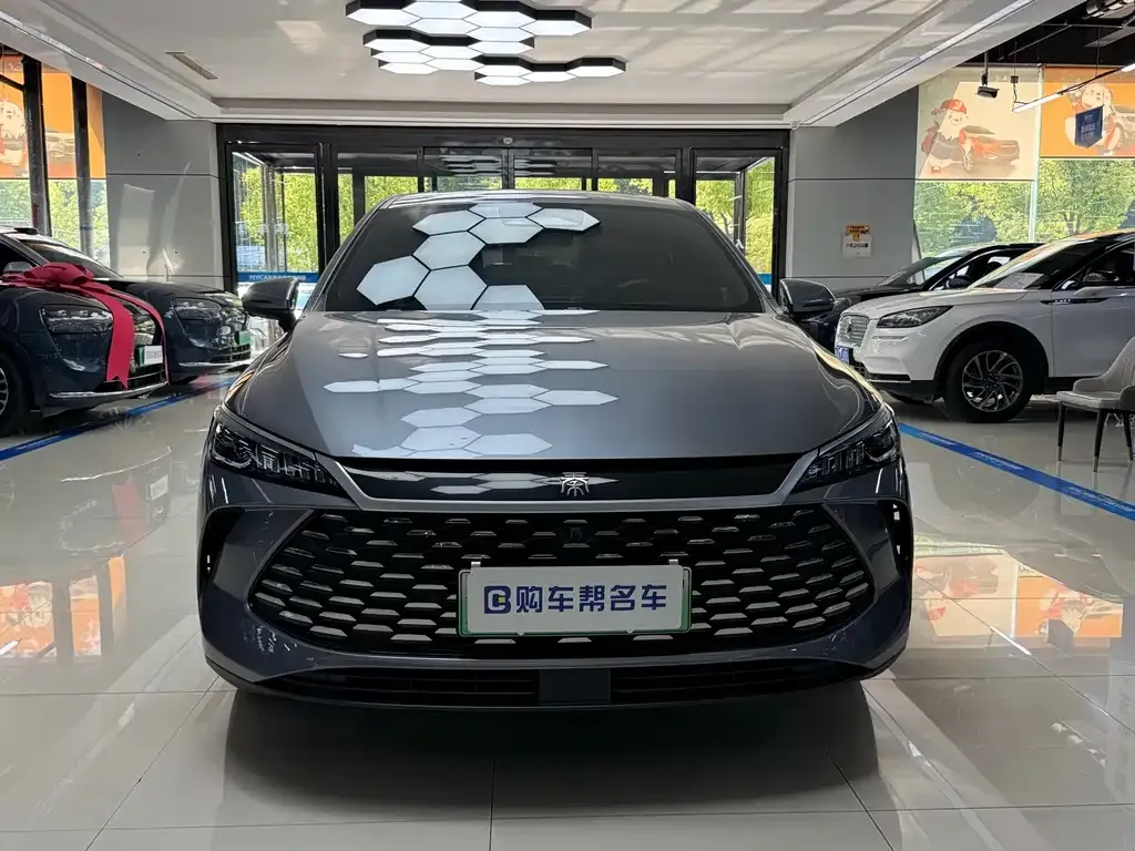 BYD Qin PLUS — фото 2