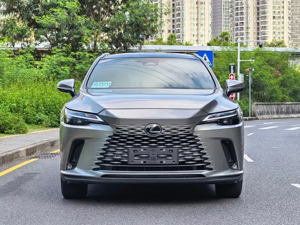 Lexus RX — фото 9