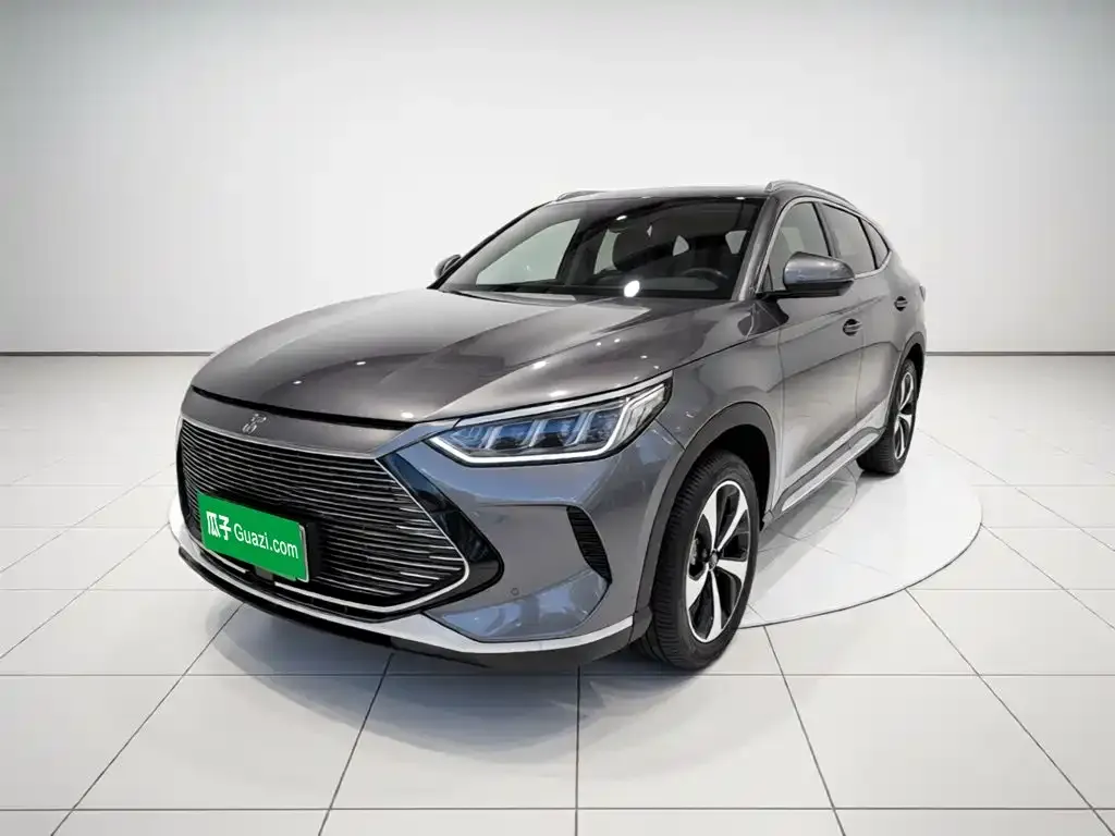 BYD PLUS New Energy — фото 1