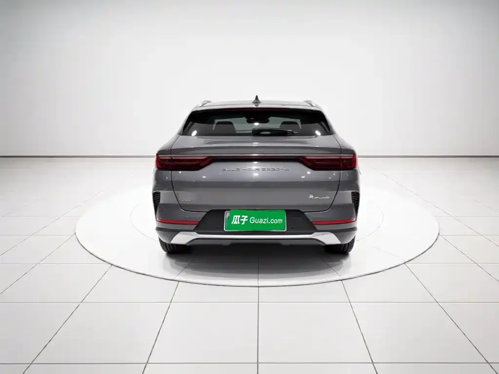 BYD PLUS New Energy — фото 4