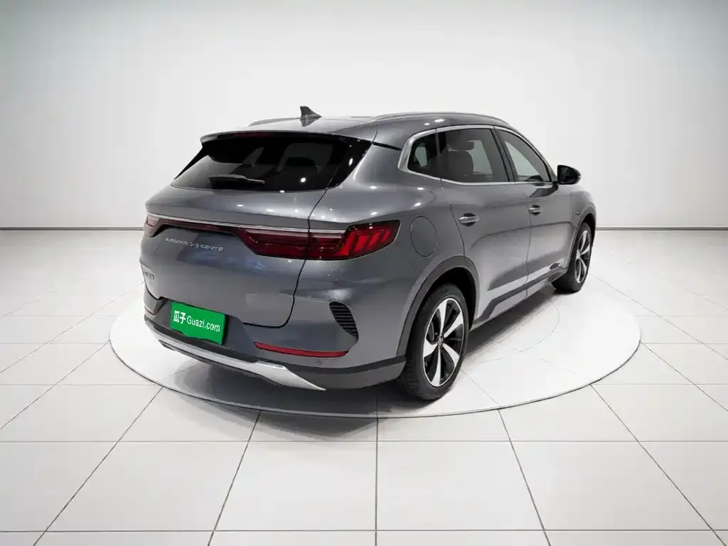 BYD PLUS New Energy — фото 2