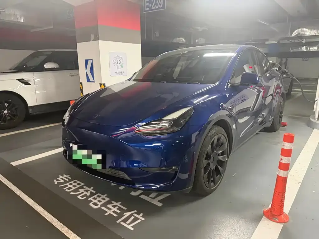 Tesla Model Y — фото 1