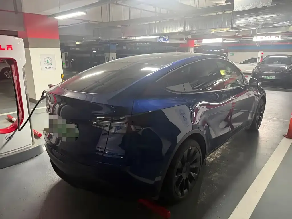 Tesla Model Y — фото 6