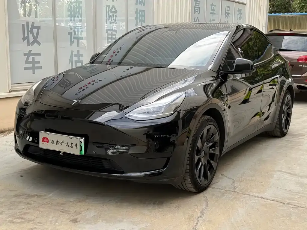 Tesla Model Y — фото 1