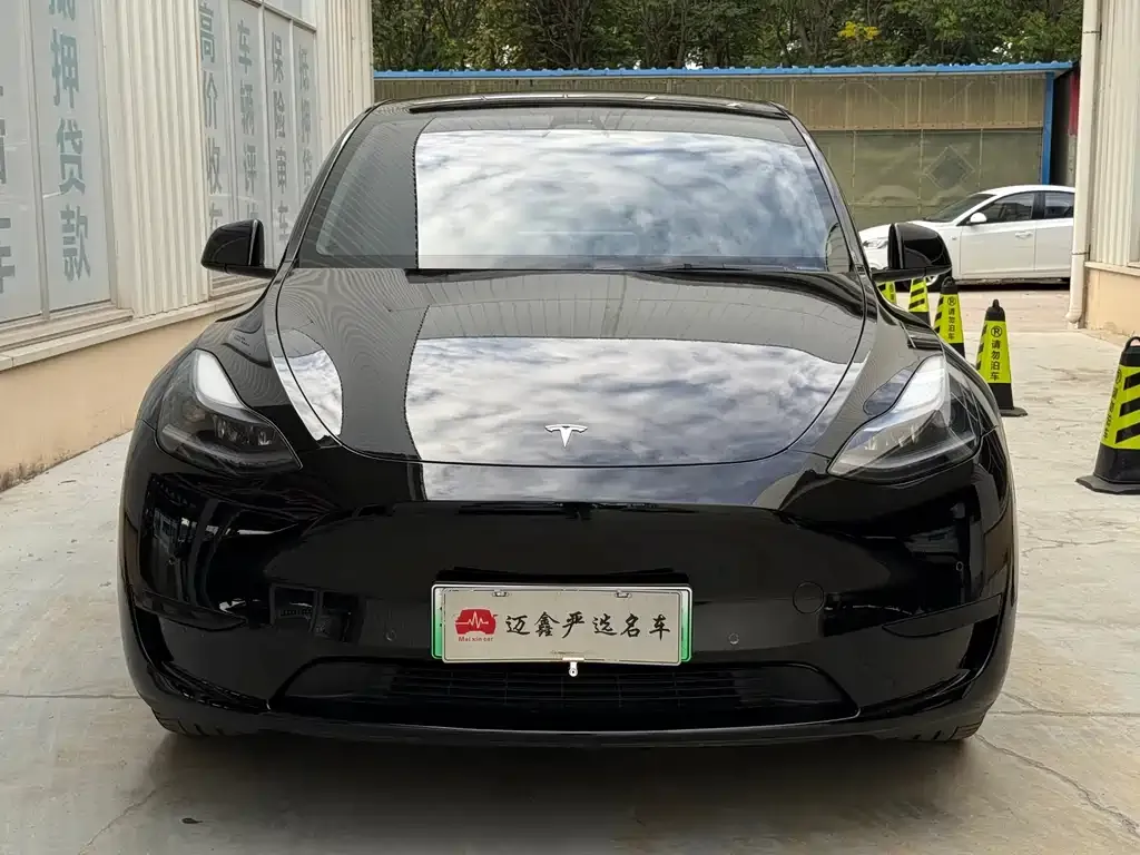 Tesla Model Y — фото 6