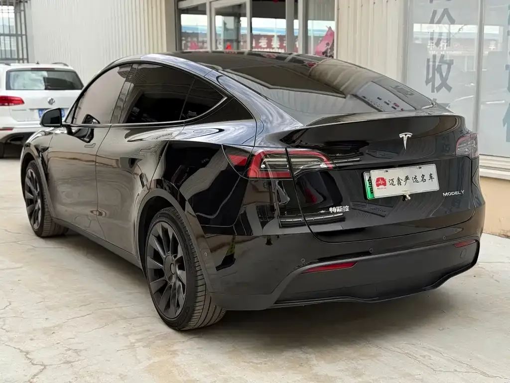 Tesla Model Y — фото 8