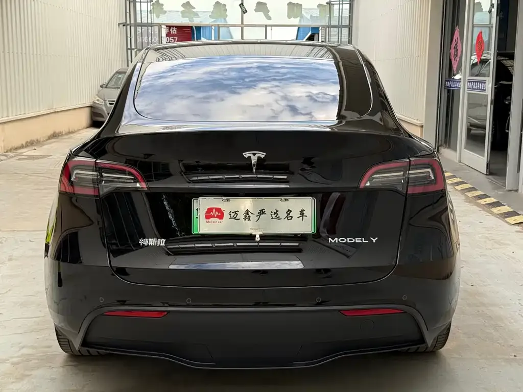 Tesla Model Y — фото 3