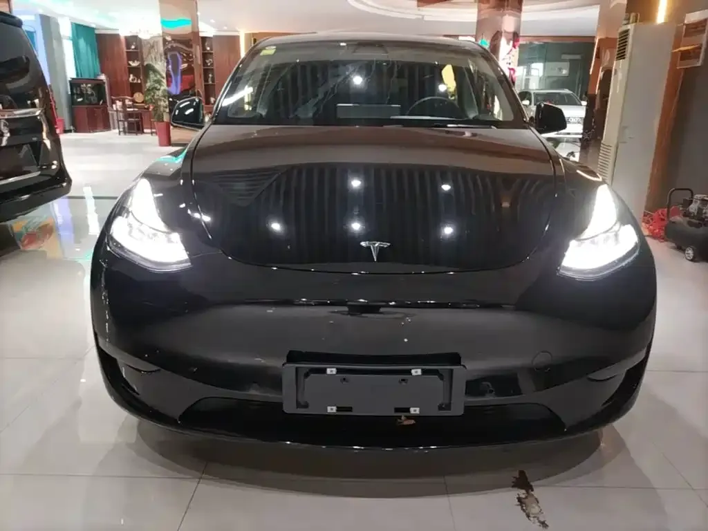 Tesla Model Y — фото 10