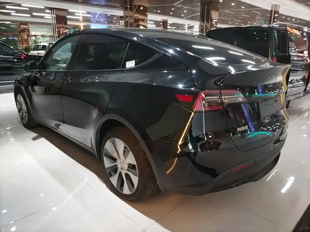 Tesla Model Y — фото 3