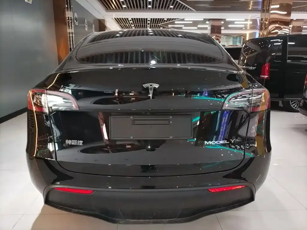 Tesla Model Y — фото 4
