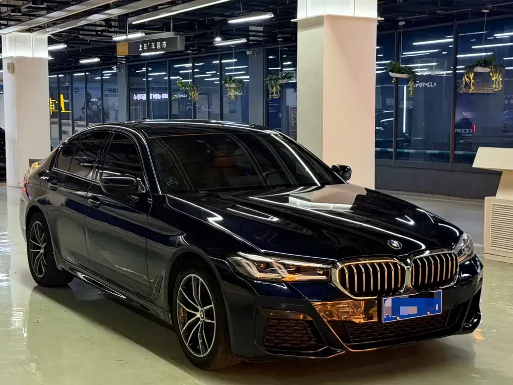 BMW 5 Series (Import) — фото 1