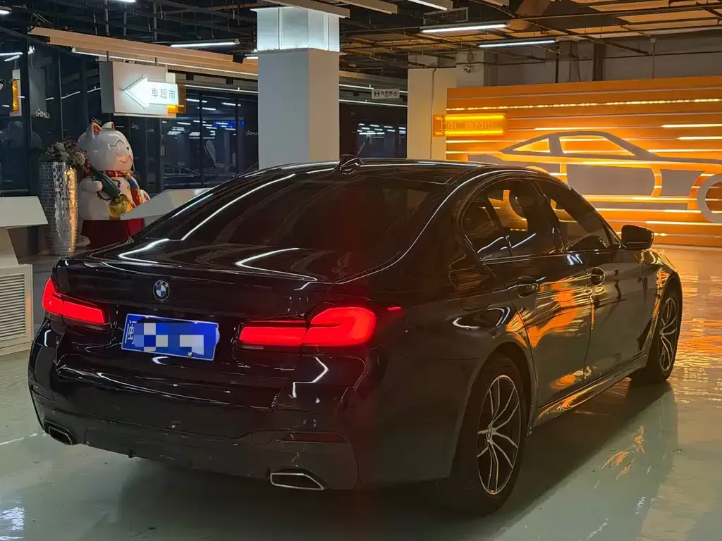 BMW 5 Series (Import) — фото 6