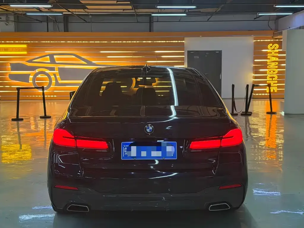 BMW 5 Series (Import) — фото 9
