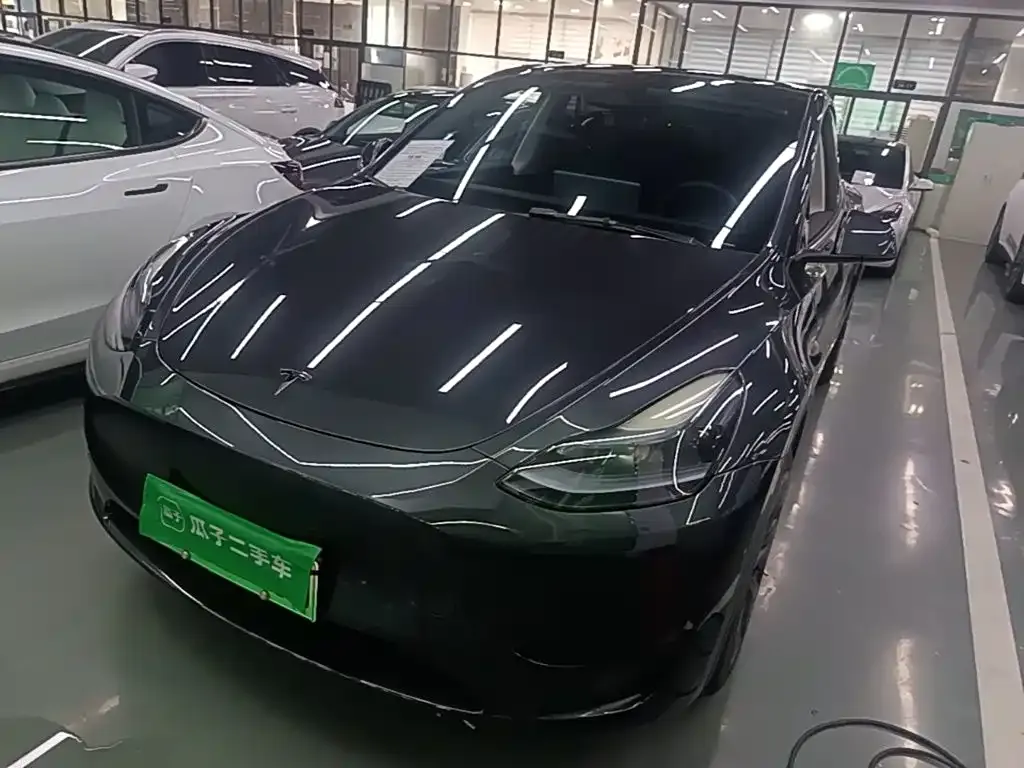 Tesla Model Y — фото 8