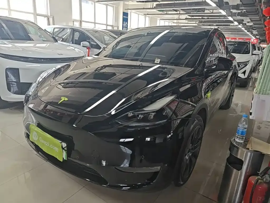 Tesla Model Y — фото 1