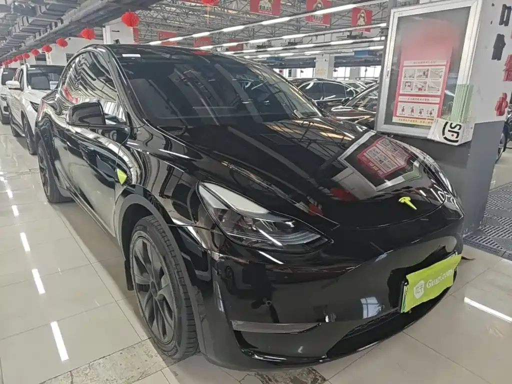 Tesla Model Y — фото 9