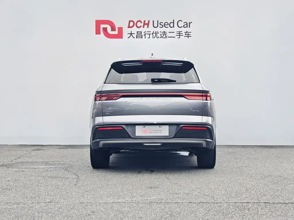 BYD Pro New Energy — фото 2