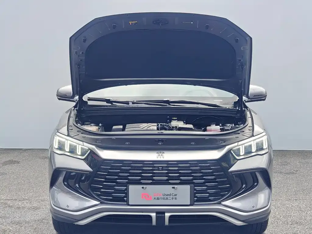 BYD Pro New Energy — фото 9