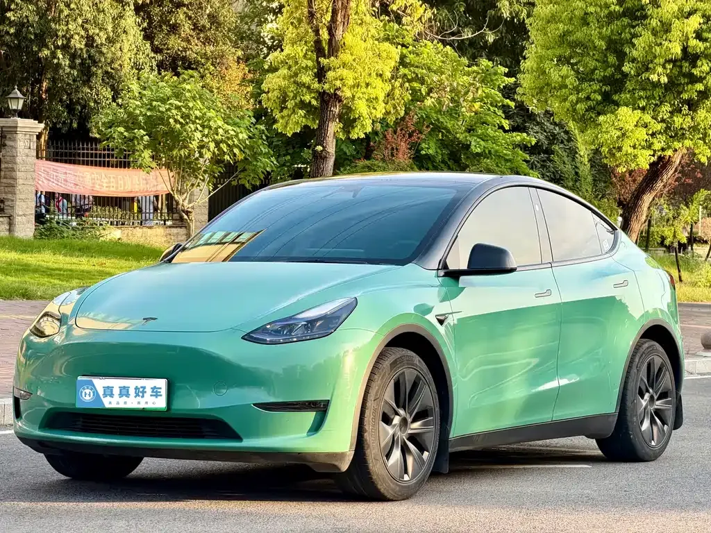 Tesla Model Y — фото 1