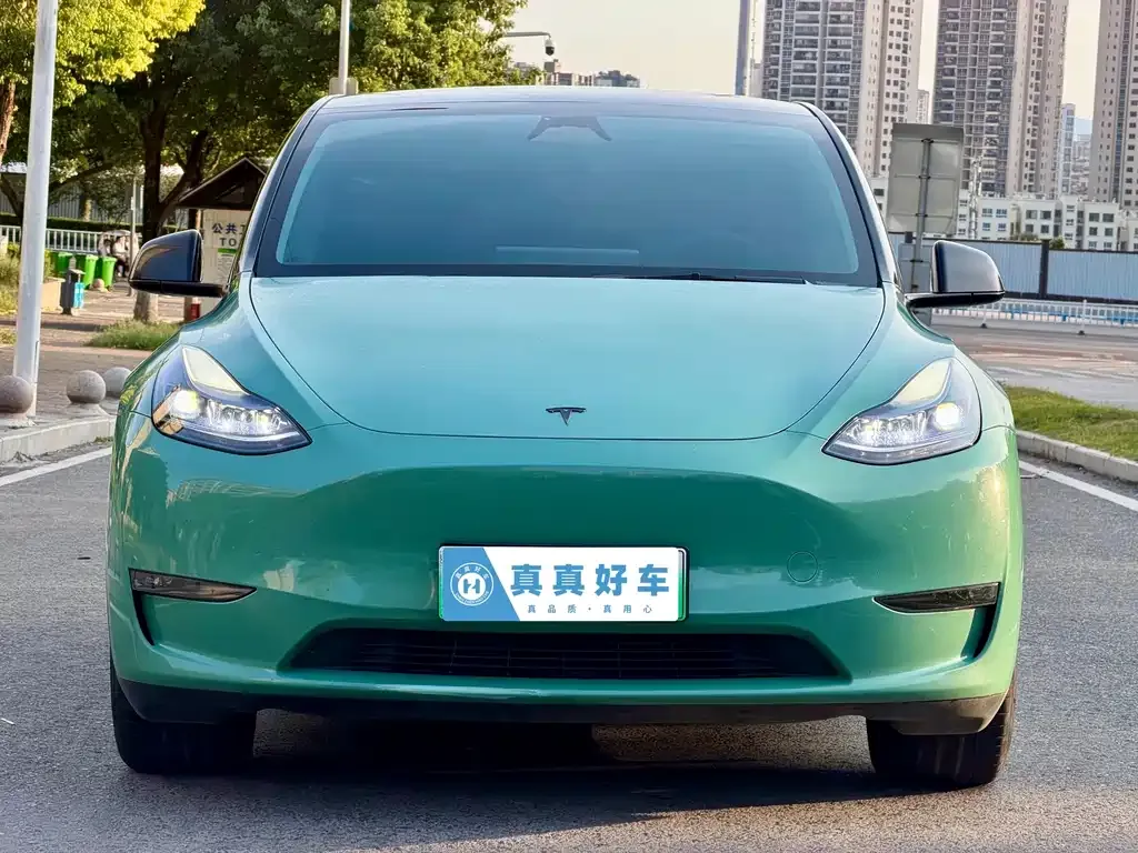 Tesla Model Y — фото 2