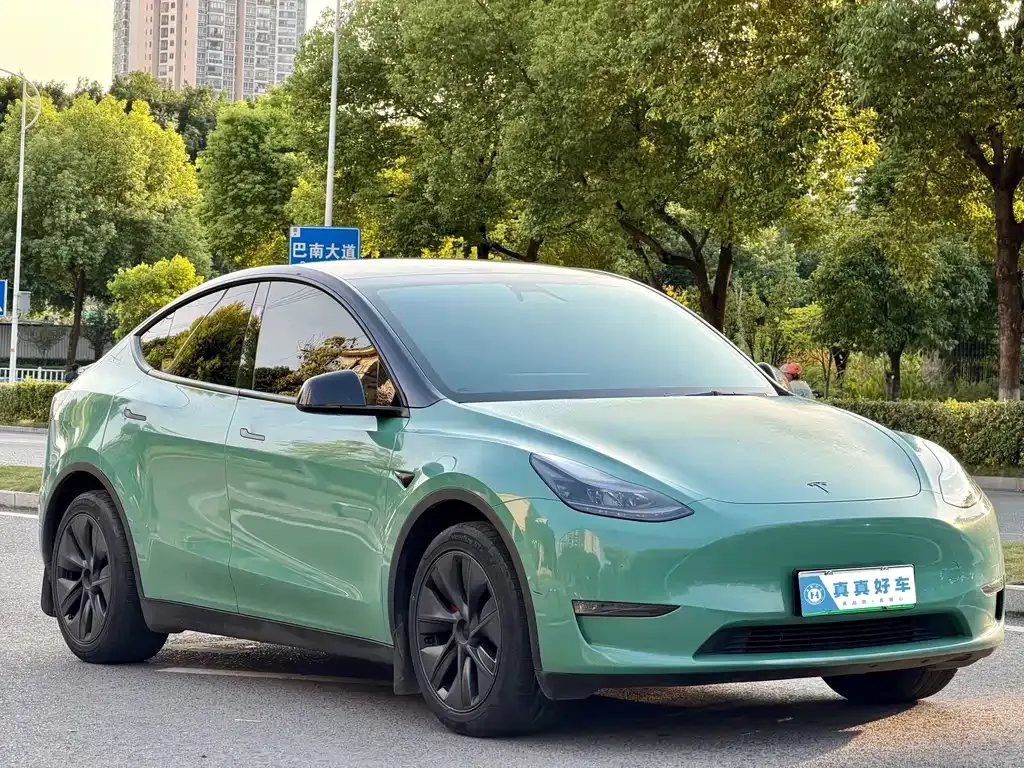 Tesla Model Y — фото 3