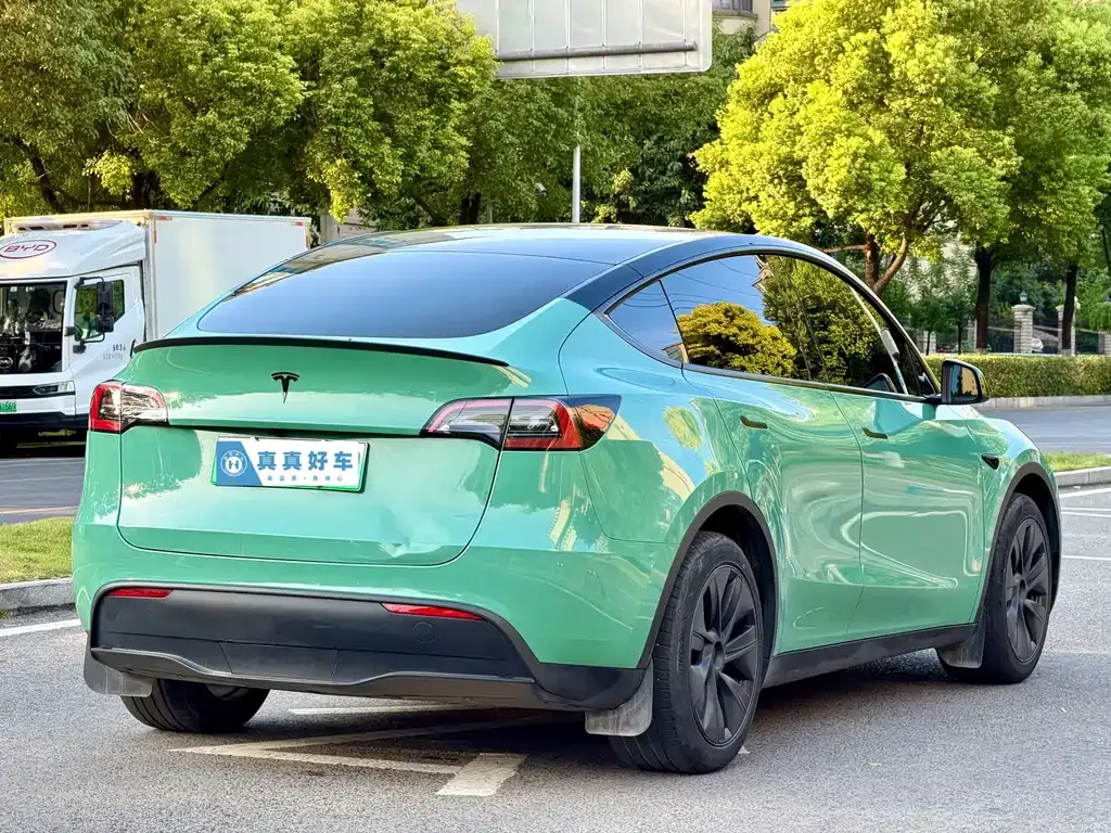 Tesla Model Y — фото 10