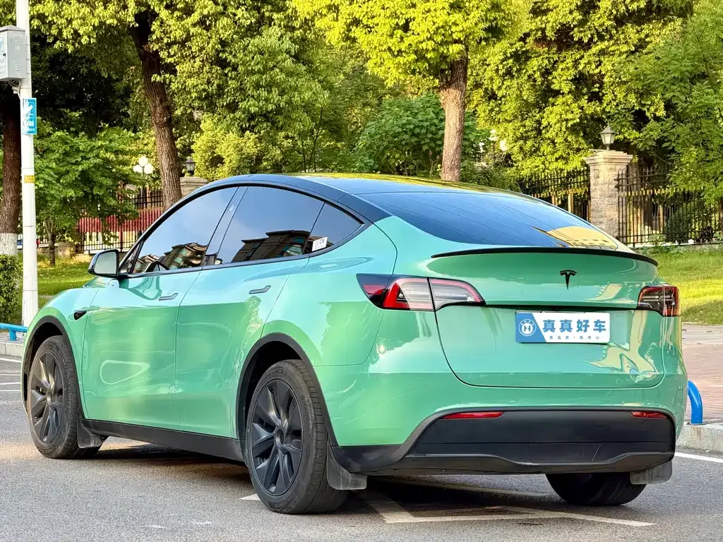 Tesla Model Y — фото 6