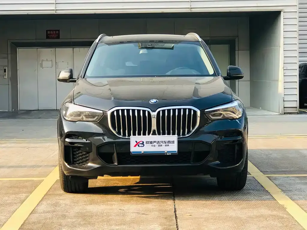 BMW X5 (Import) — фото 8