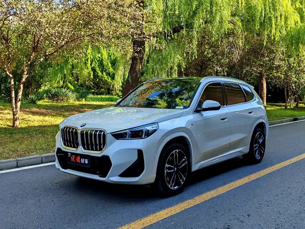 BMW X1 — фото 1