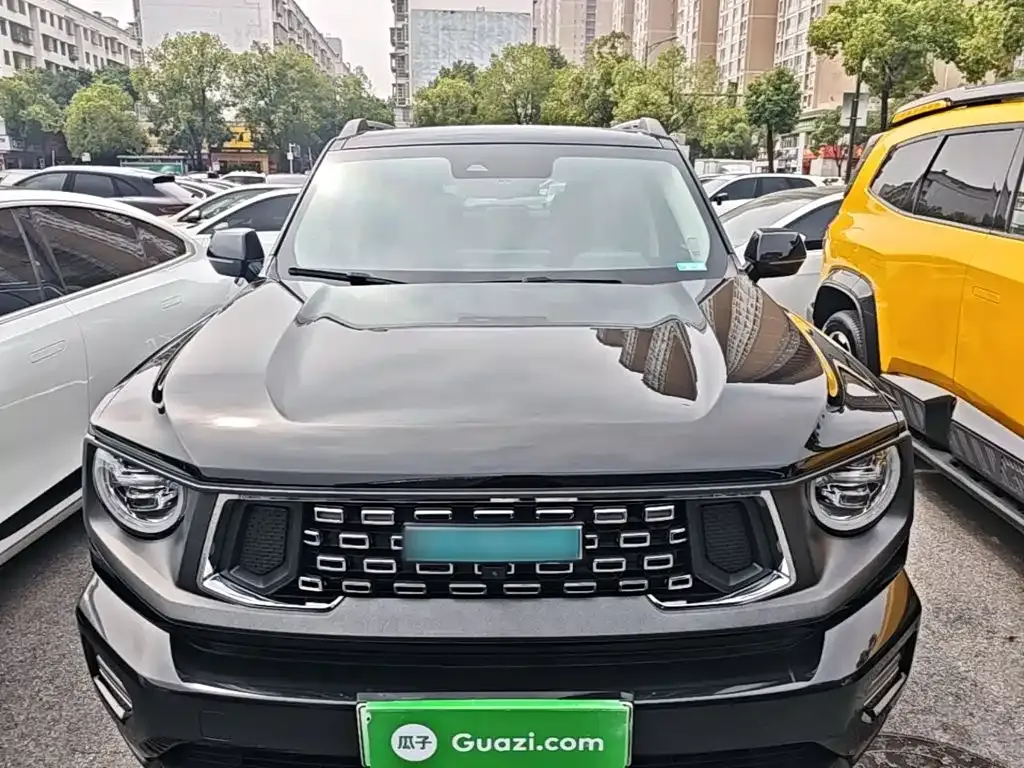 Haval Big Dog PLUS New Energy — фото 5