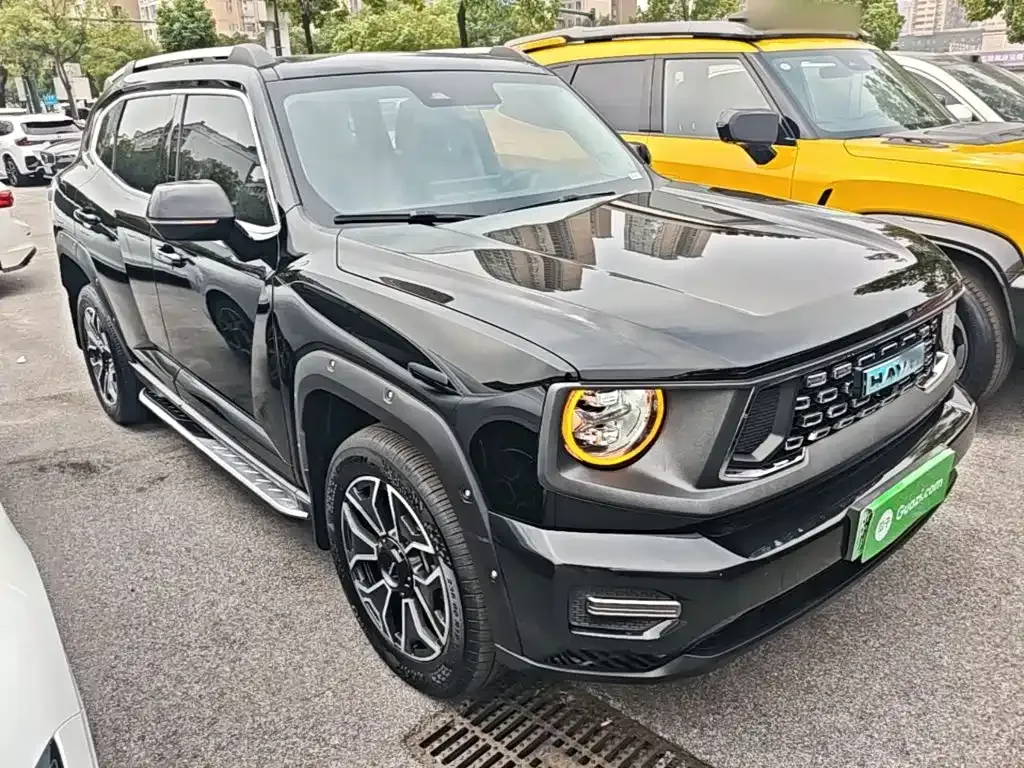 Haval Big Dog PLUS New Energy — фото 9