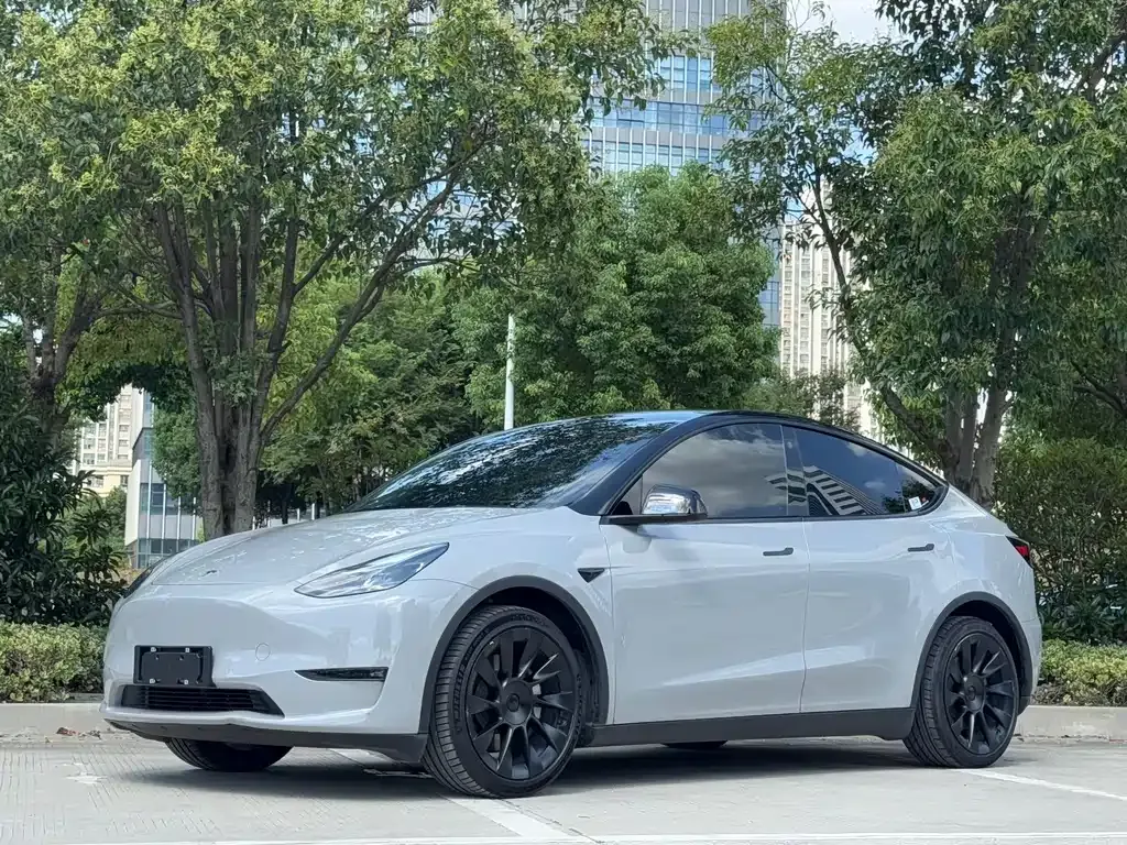 Tesla Model Y — фото 4