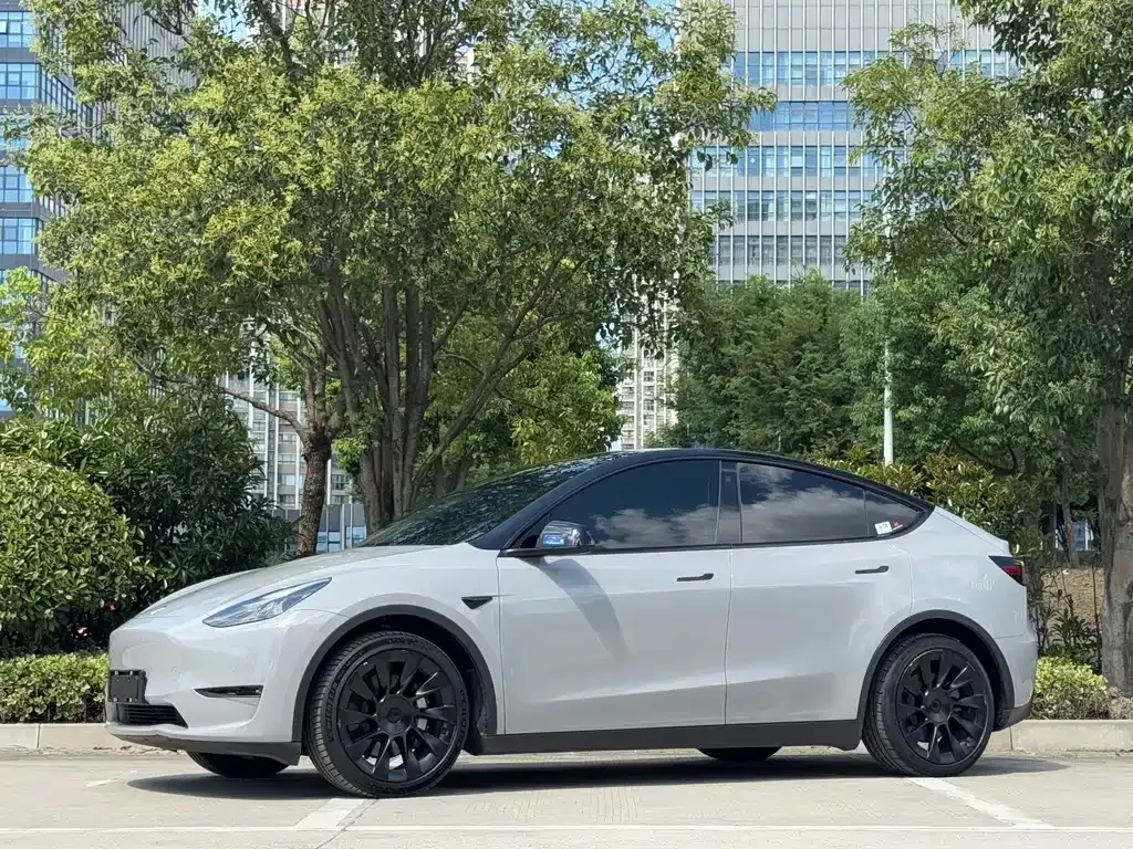 Tesla Model Y — фото 10