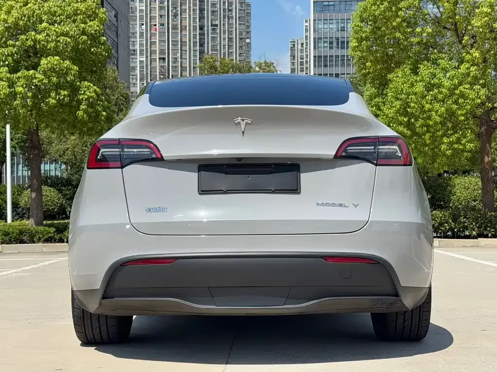 Tesla Model Y — фото 6