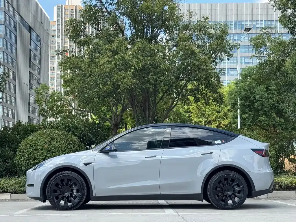 Tesla Model Y — фото 8