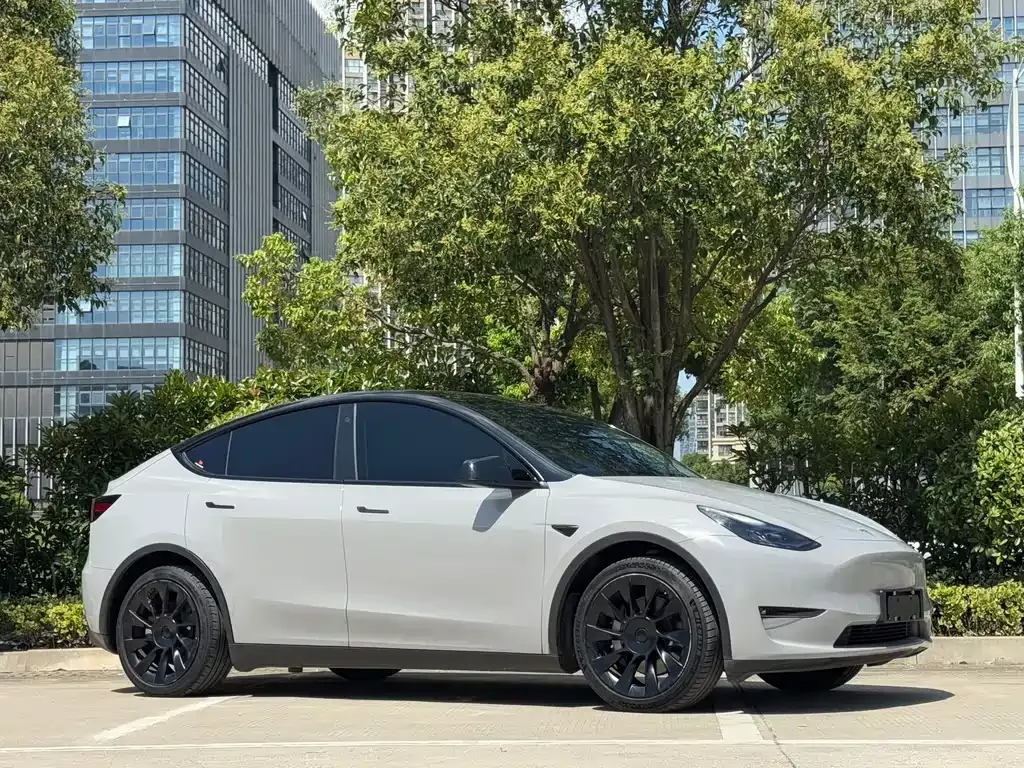 Tesla Model Y — фото 9