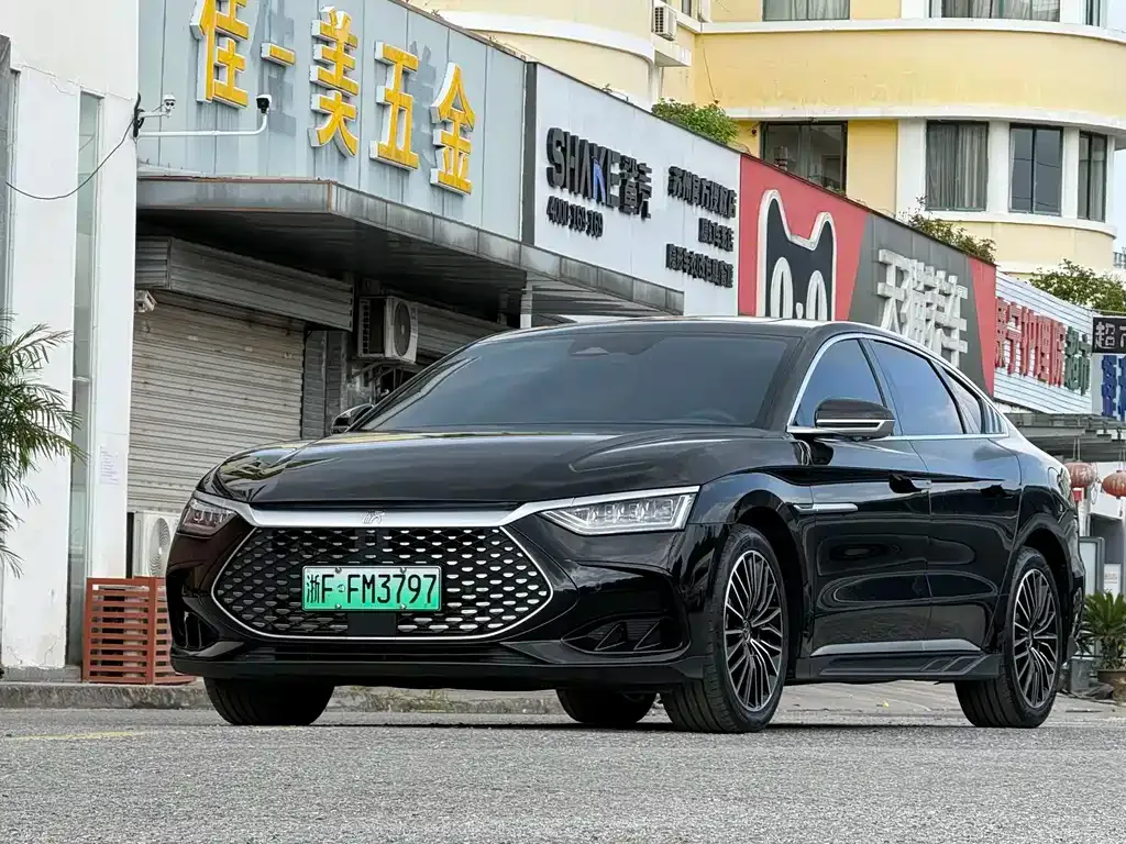 BYD Han — фото 10