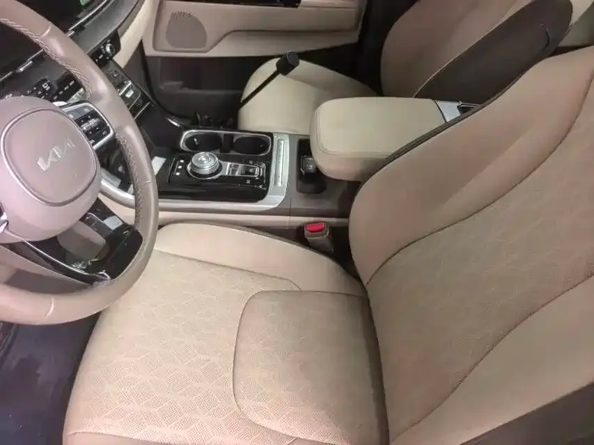 Kia Carnival — фото 7