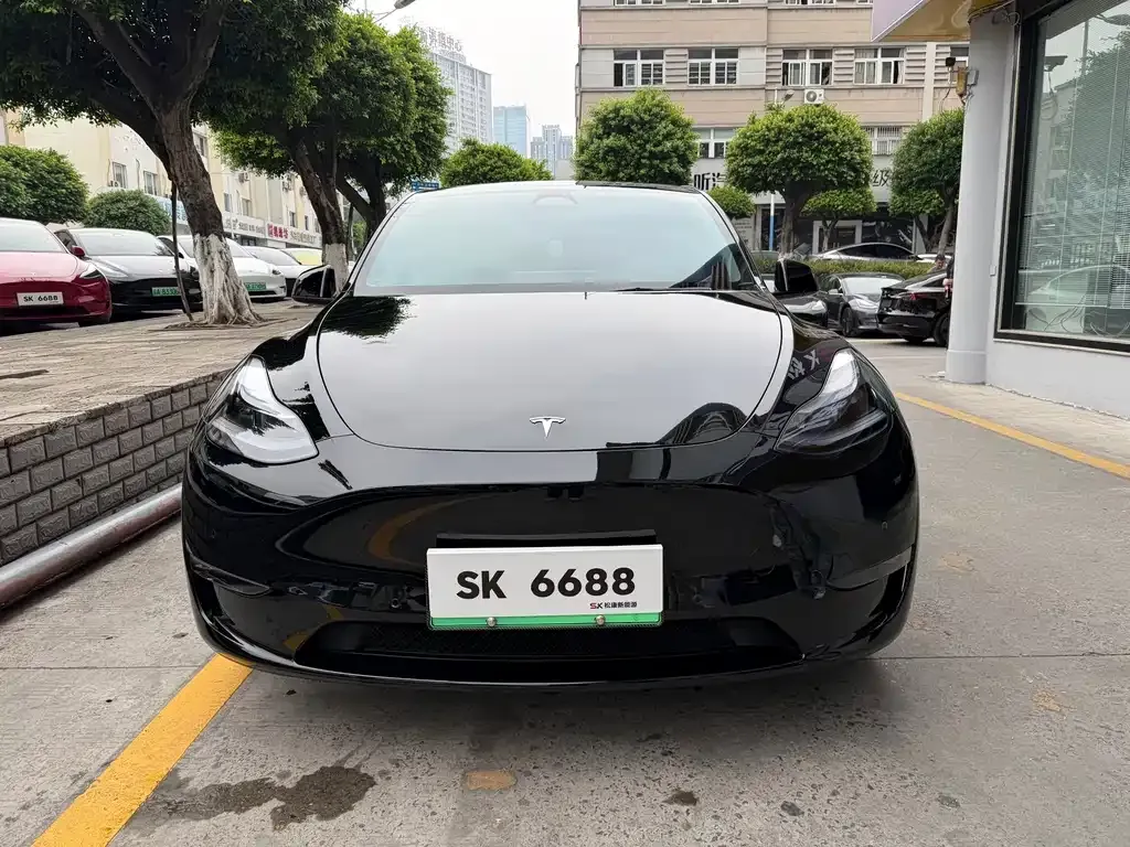 Tesla Model Y — фото 7
