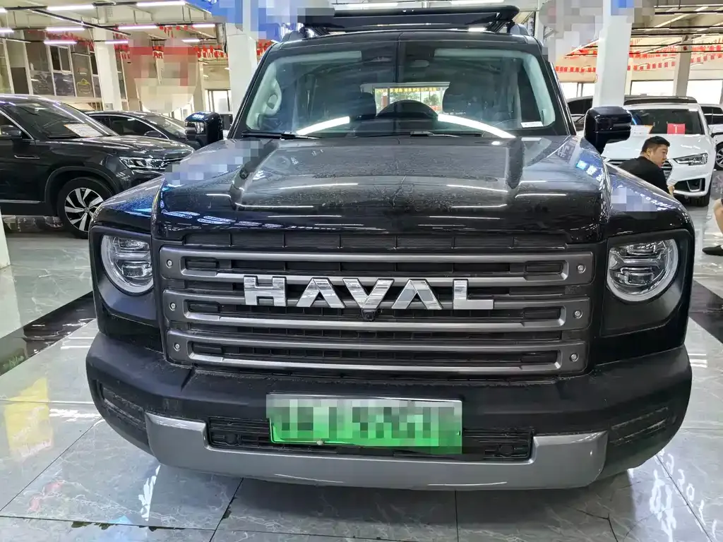 Haval Menglong New Energy — фото 8