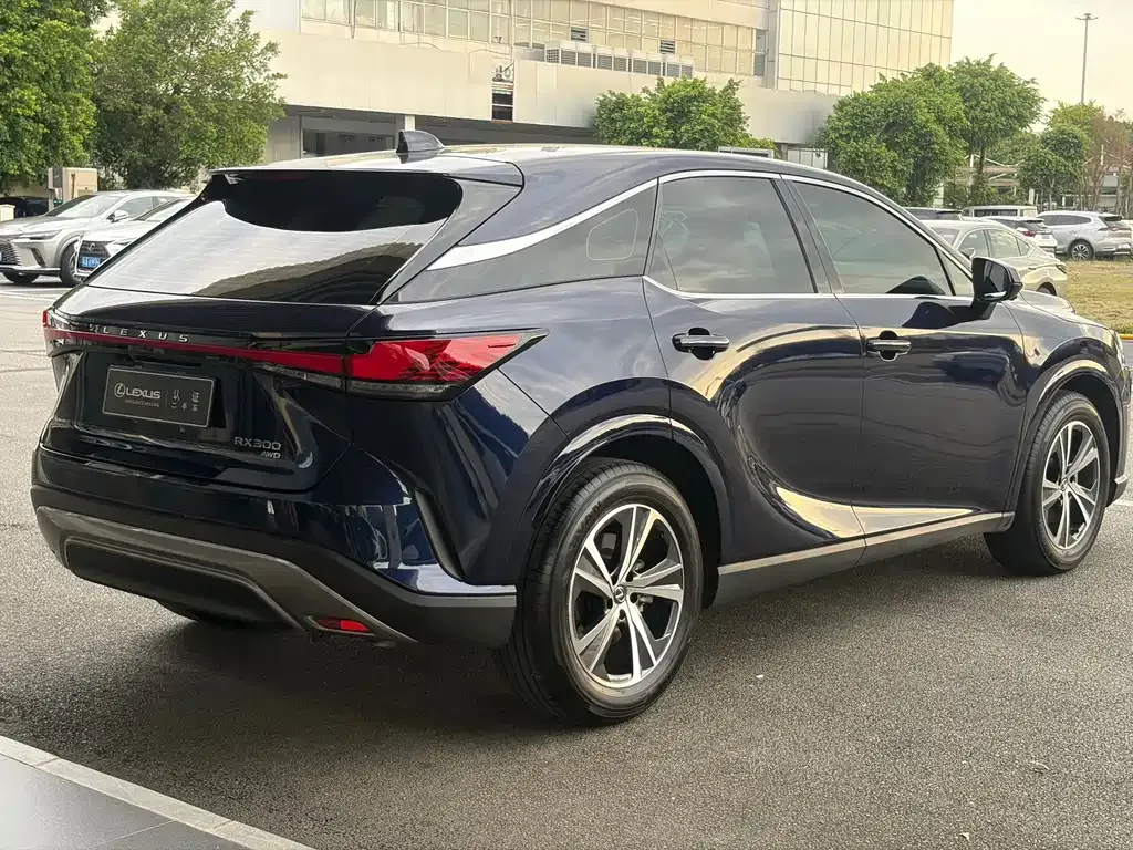 Lexus RX — фото 10