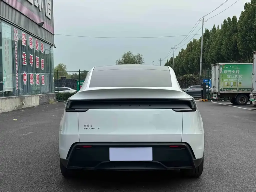 Tesla Model Y — фото 3